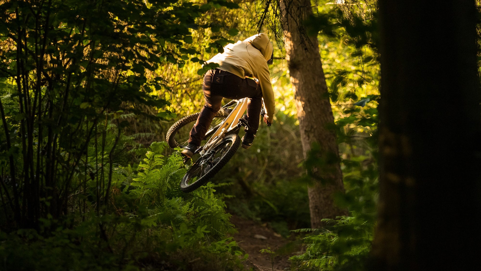 Golden Hour mountain biking