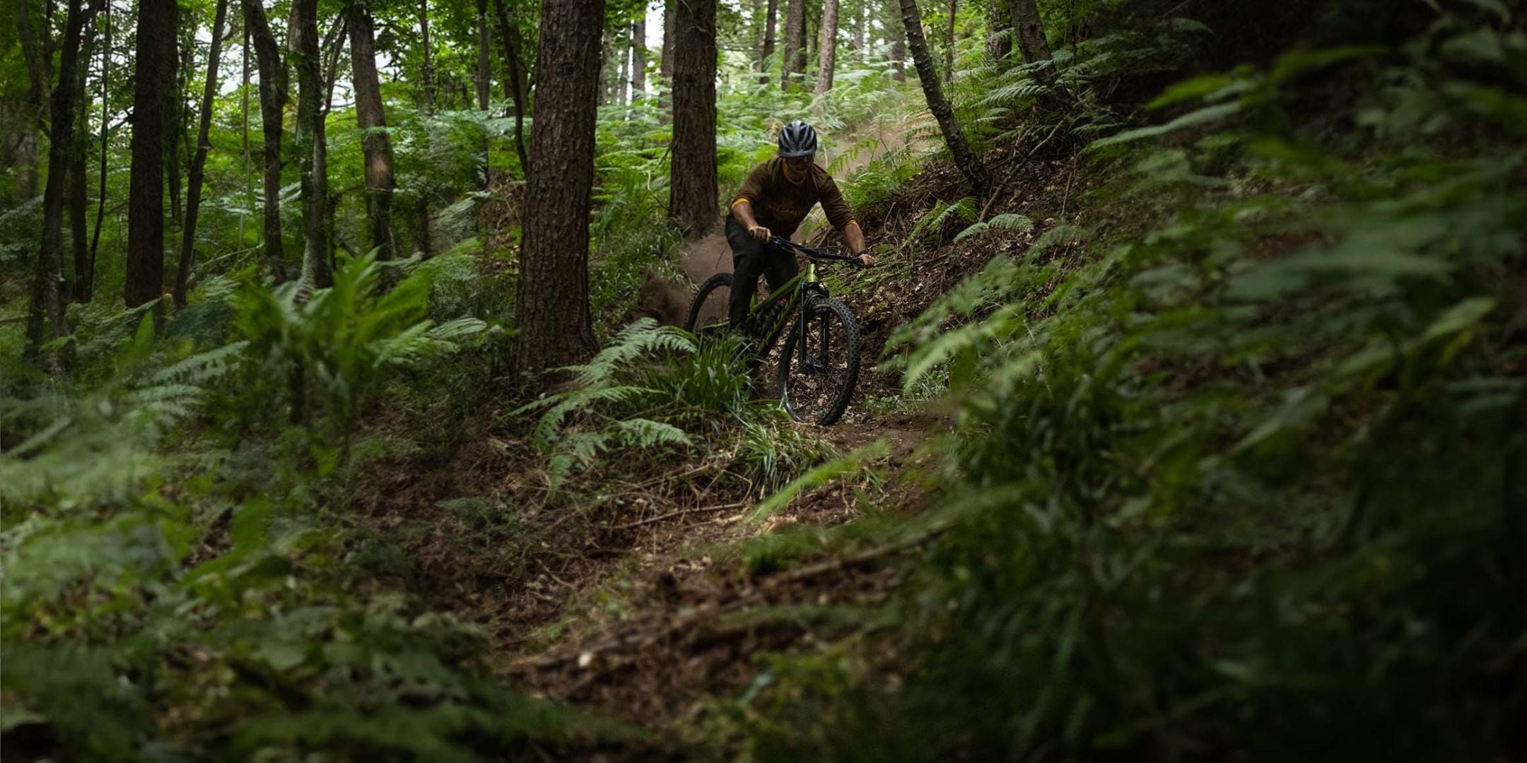 Mountain biker riding down a fast trail