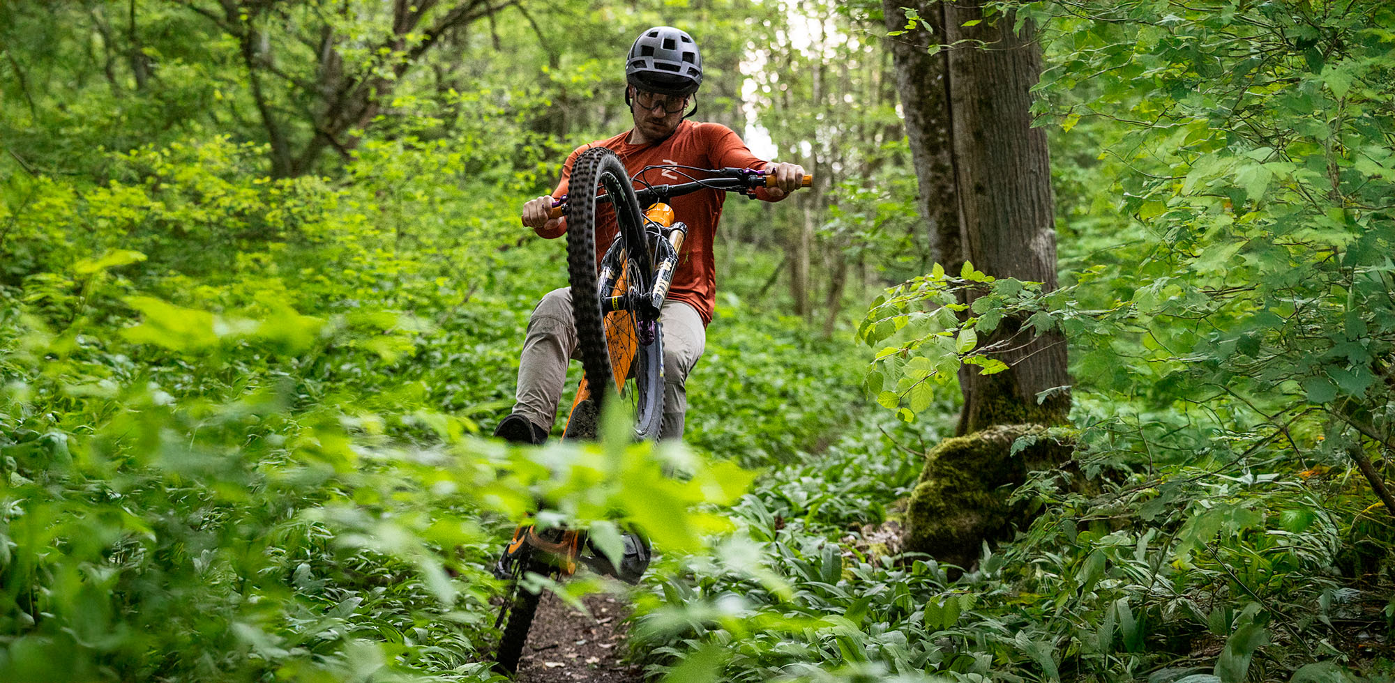 Mountain biker doing a wheelie on a forest trail, surrounded by dense green foliage, wearing a helmet and orange jersey.