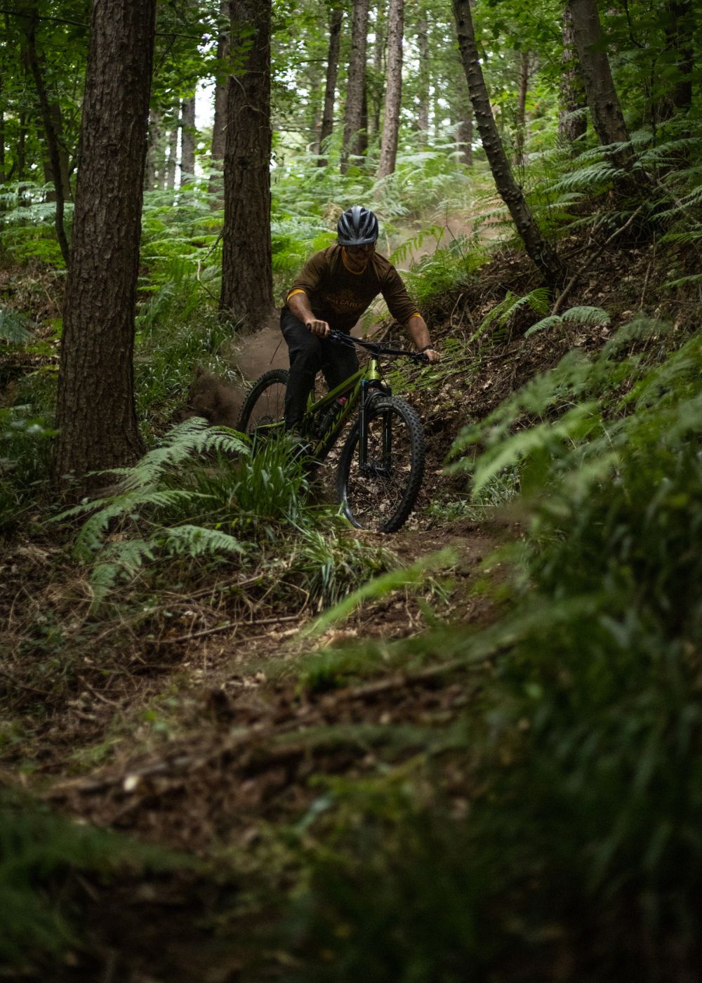 Woods hotsell mtb clothing